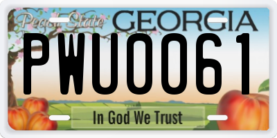 GA license plate PWU0061