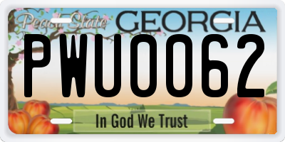 GA license plate PWU0062