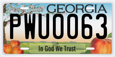 GA license plate PWU0063