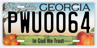GA license plate PWU0064