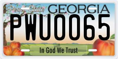 GA license plate PWU0065