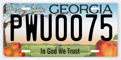 GA license plate PWU0075