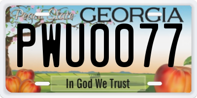 GA license plate PWU0077