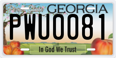 GA license plate PWU0081
