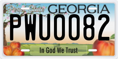 GA license plate PWU0082