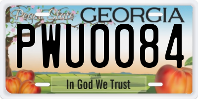 GA license plate PWU0084