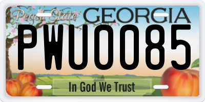 GA license plate PWU0085
