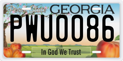 GA license plate PWU0086