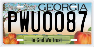 GA license plate PWU0087