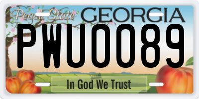 GA license plate PWU0089