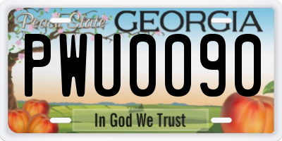 GA license plate PWU0090