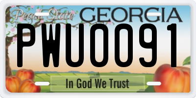 GA license plate PWU0091