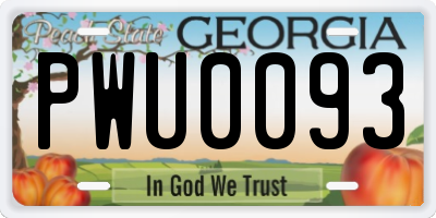 GA license plate PWU0093