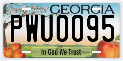 GA license plate PWU0095