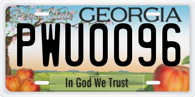 GA license plate PWU0096