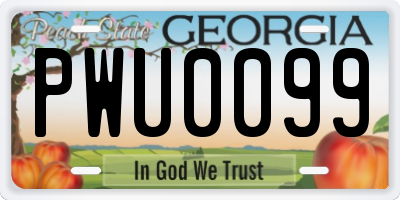 GA license plate PWU0099
