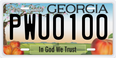 GA license plate PWU0100