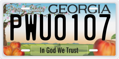 GA license plate PWU0107