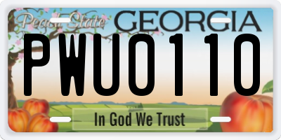 GA license plate PWU0110