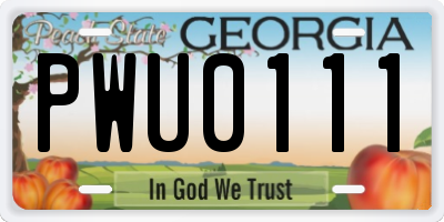 GA license plate PWU0111