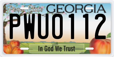 GA license plate PWU0112