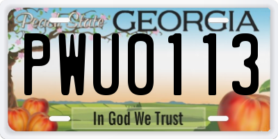 GA license plate PWU0113