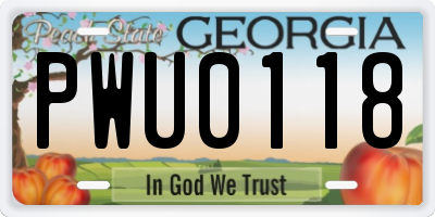GA license plate PWU0118
