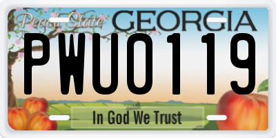 GA license plate PWU0119