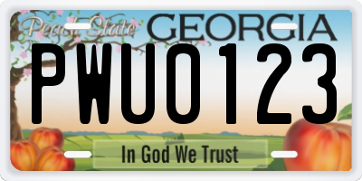 GA license plate PWU0123