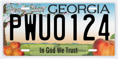 GA license plate PWU0124