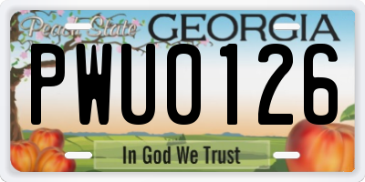 GA license plate PWU0126