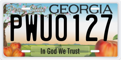 GA license plate PWU0127