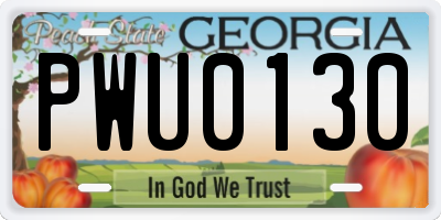 GA license plate PWU0130