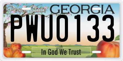 GA license plate PWU0133