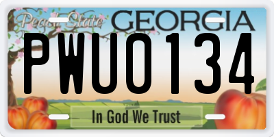 GA license plate PWU0134