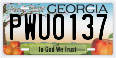 GA license plate PWU0137