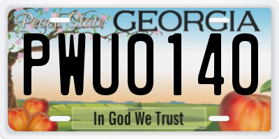 GA license plate PWU0140