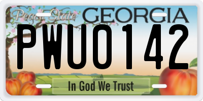 GA license plate PWU0142