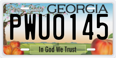 GA license plate PWU0145
