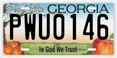 GA license plate PWU0146