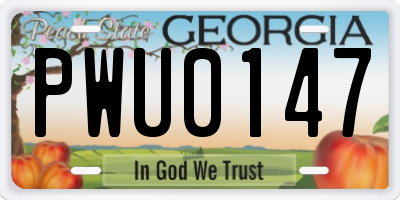 GA license plate PWU0147