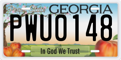 GA license plate PWU0148