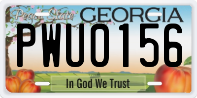GA license plate PWU0156