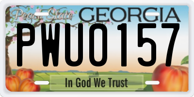 GA license plate PWU0157