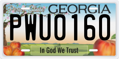 GA license plate PWU0160