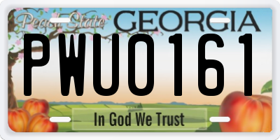 GA license plate PWU0161