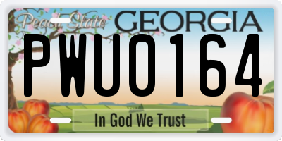 GA license plate PWU0164