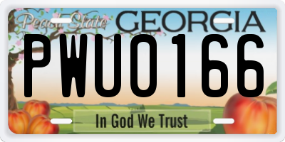 GA license plate PWU0166