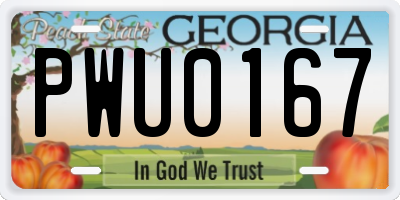 GA license plate PWU0167