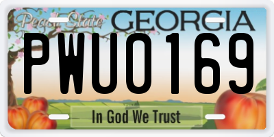 GA license plate PWU0169